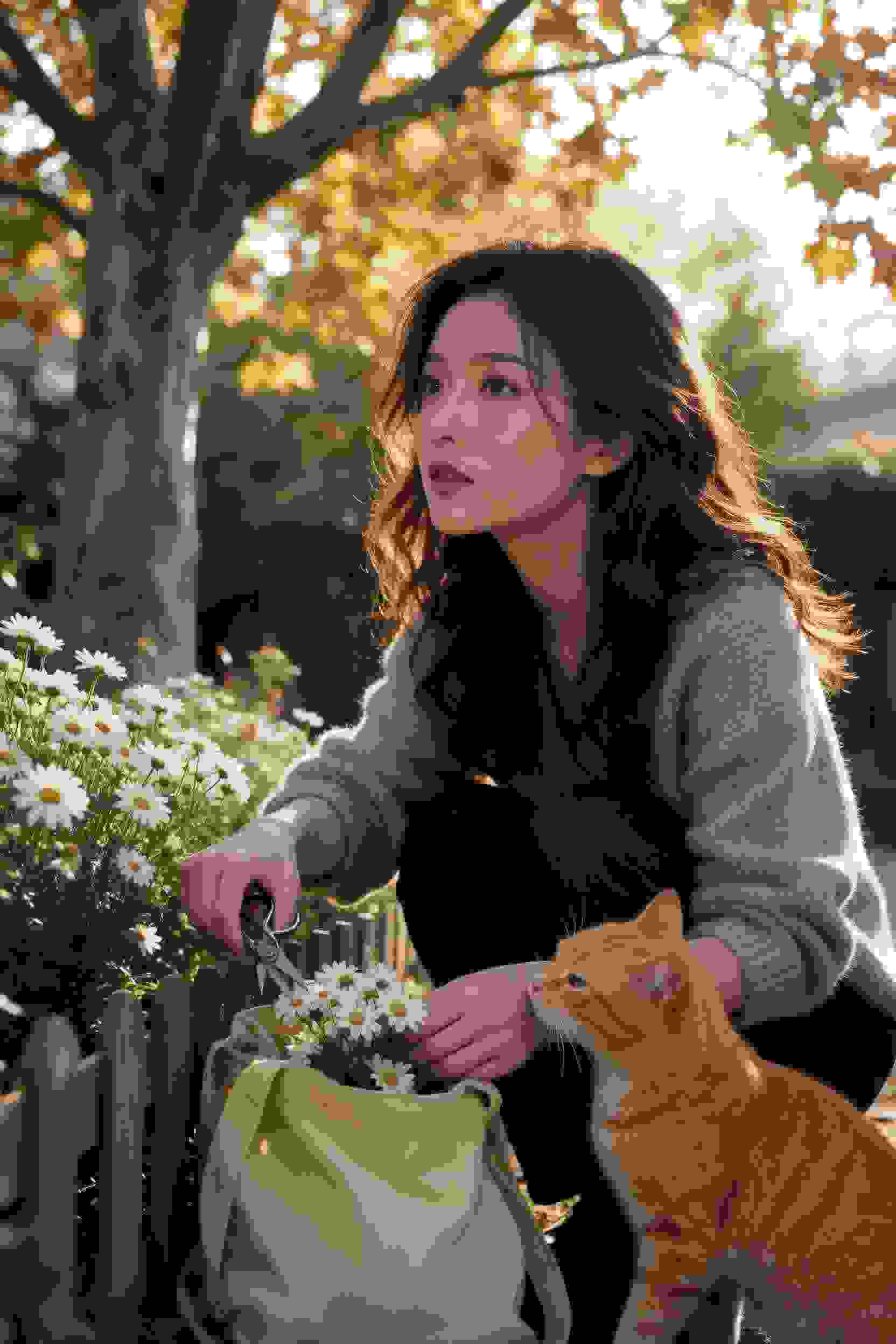犬夜叉